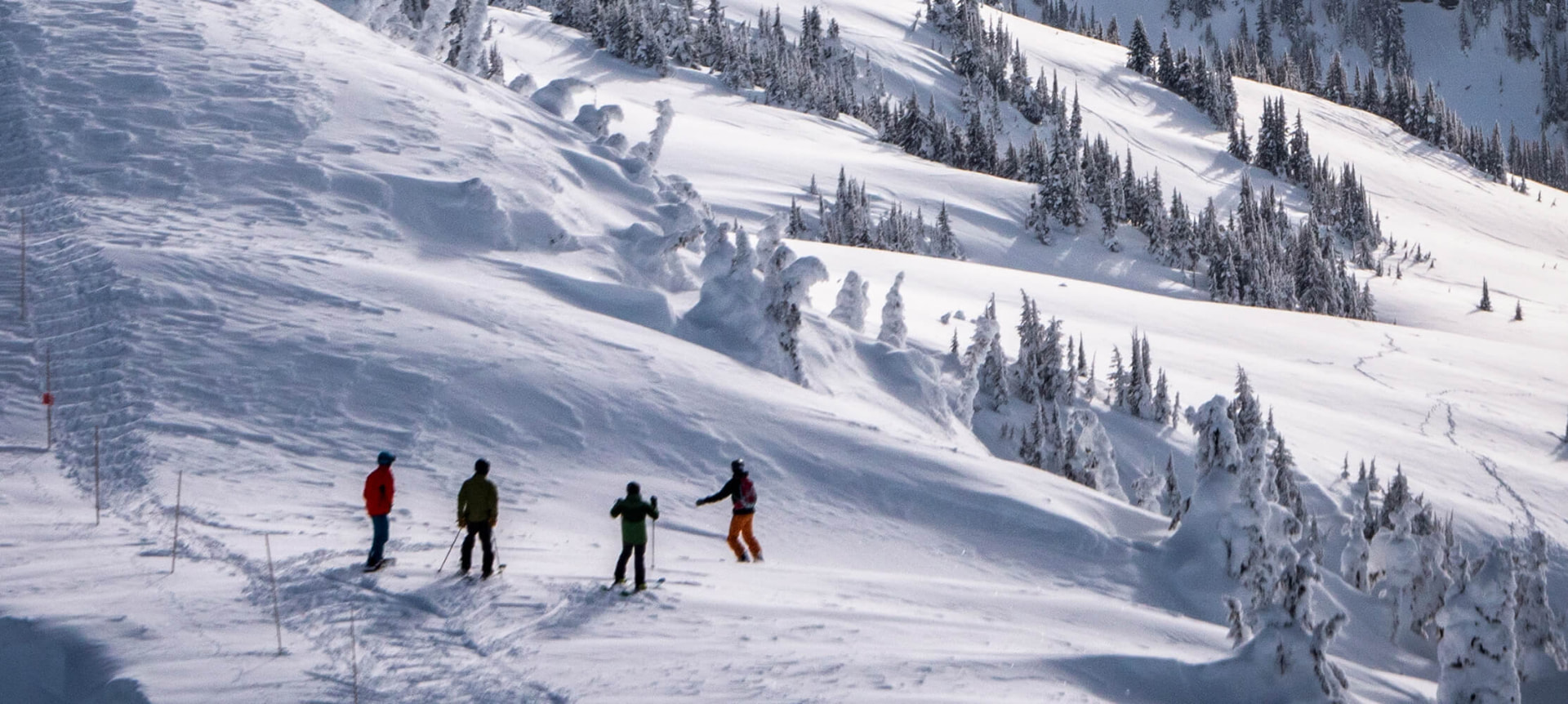 Four skiers on a snowy mountainside with snow-covered trees in Revelstoke, BC